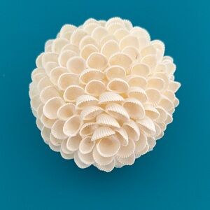 White Shell Sphere